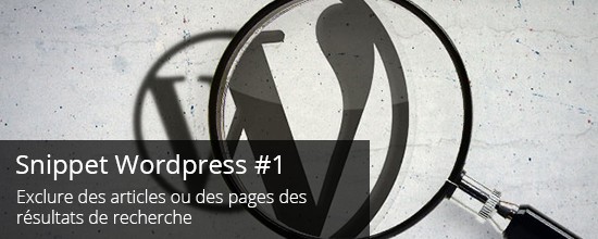 WordPress : Exclure des articles ou pages des résultats de recherche