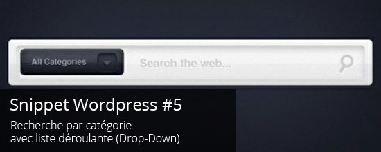 WordPress : Recherche par catégorie avec Drop-Down