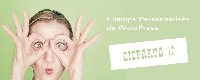 Champs personnalisés WordPress ne s'affichent pas