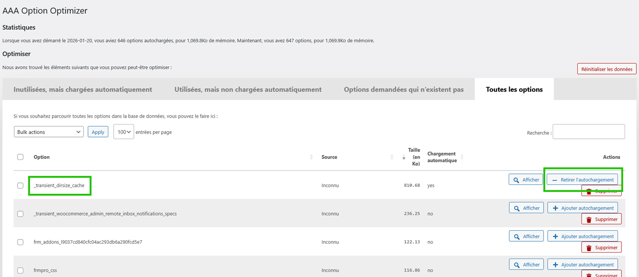 Interface du plugin AAA Option Optimizer dans WordPress