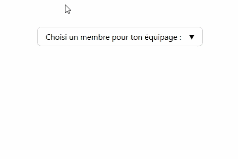 Gif d'un selecteur en pur HTML et CSS pour démo choix équipage One Piece